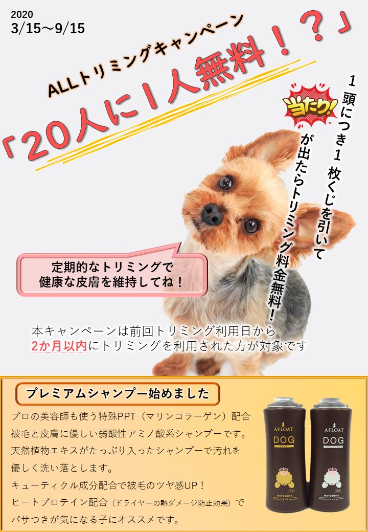 ALLトリミングキャンペーンのご案内 市川市・浦安市の動物病院『ALL動物病院行徳』皮膚科/眼科